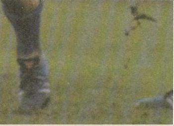 1986 Scanlens VFL #74 Barry Round Back